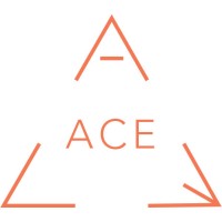 Logo of ACE Company